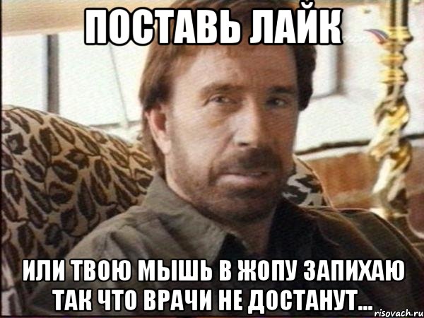 поставь лайк или твою мышь в жопу запихаю так что врачи не достанут...