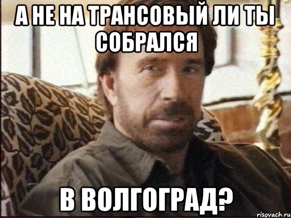 а не на трансовый ли ты собрался в волгоград?, Мем чак норрис