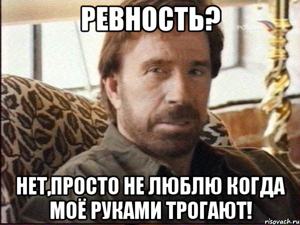 ревность? нет,просто не люблю когда моё руками трогают!