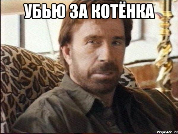 убью за котёнка 