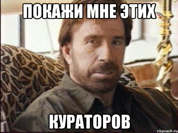 покажи мне этих кураторов