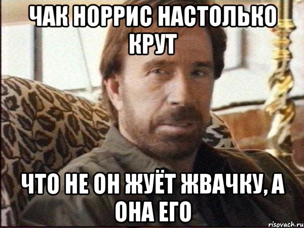 чак норрис настолько крут что не он жуёт жвачку, а она его