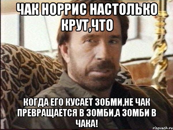 чак норрис настолько крут,что когда его кусает зобми,не чак превращается в зомби,а зомби в чака!