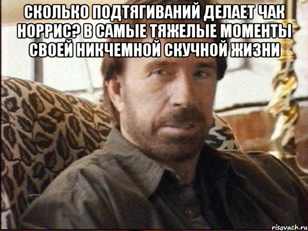 сколько подтягиваний делает чак норрис? в самые тяжелые моменты своей никчемной скучной жизни 