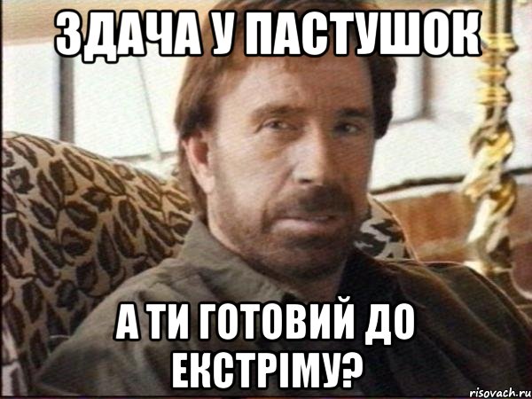 здача у пастушок а ти готовий до екстріму?