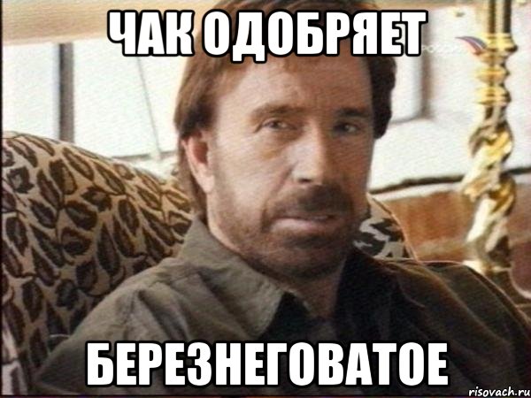 чак одобряет березнеговатое