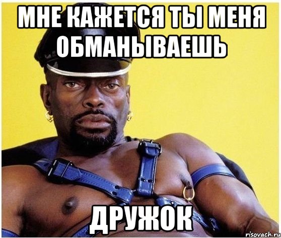 мне кажется ты меня обманываешь дружок