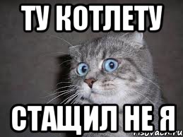 ту котлету стащил не я