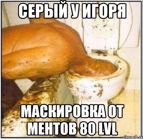 серый у игоря маскировка от ментов 80 lvl, Мем Дайвер