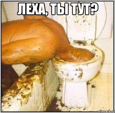 леха, ты тут? , Мем Дайвер