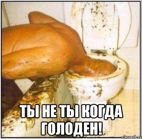  ты не ты когда голоден!, Мем Дайвер