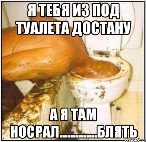 я тебя из под туалета достану а я там носрал..............блять