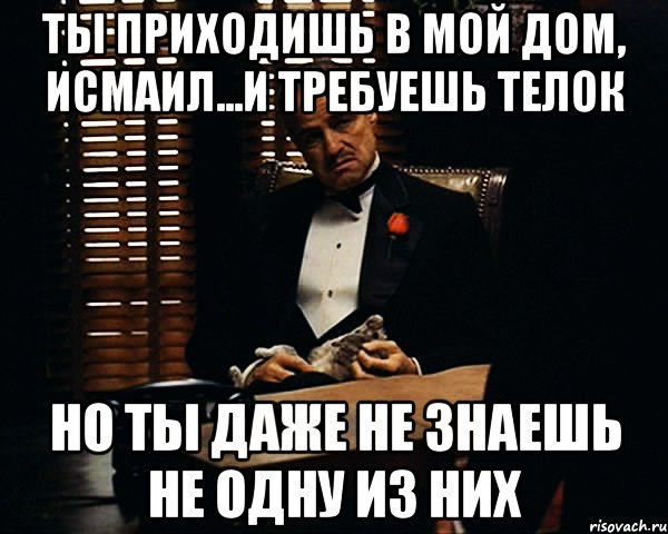 ты приходишь в мой дом, исмаил...и требуешь телок но ты даже не знаешь не одну из них, Мем Дон Вито Корлеоне