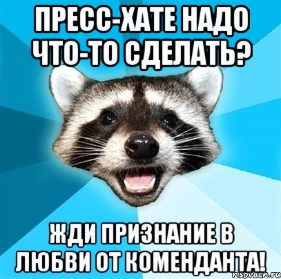 пресс-хате надо что-то сделать? жди признание в любви от коменданта!, Мем Енот-Каламбурист