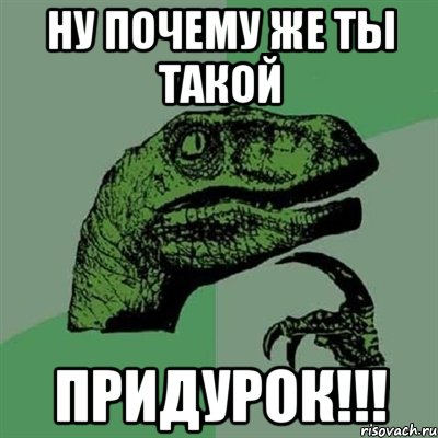 ну почему же ты такой придурок!!!, Мем Филосораптор