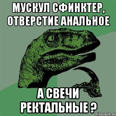 мускул сфинктер, отверстие анальное а свечи ректальные ?, Мем Филосораптор