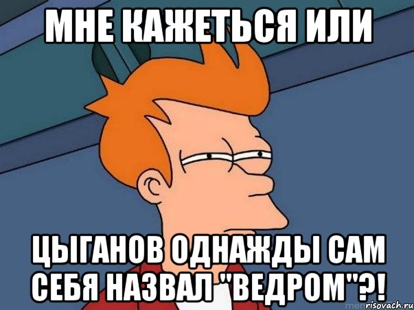 мне кажеться или цыганов однажды сам себя назвал "ведром"?!, Мем  Фрай (мне кажется или)