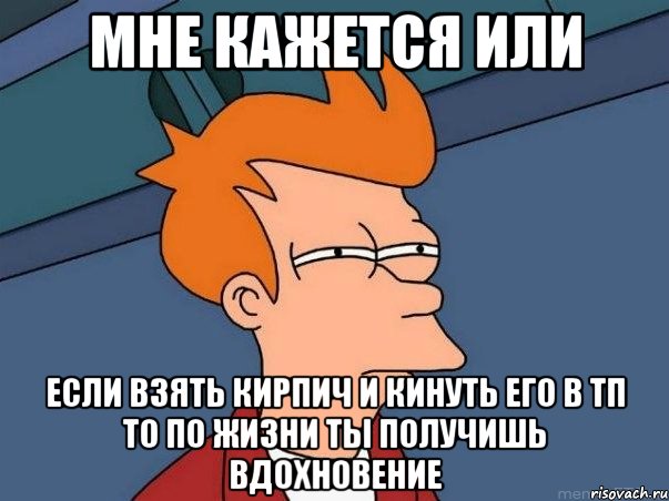 мне кажется или если взять кирпич и кинуть его в тп то по жизни ты получишь вдохновение, Мем  Фрай (мне кажется или)