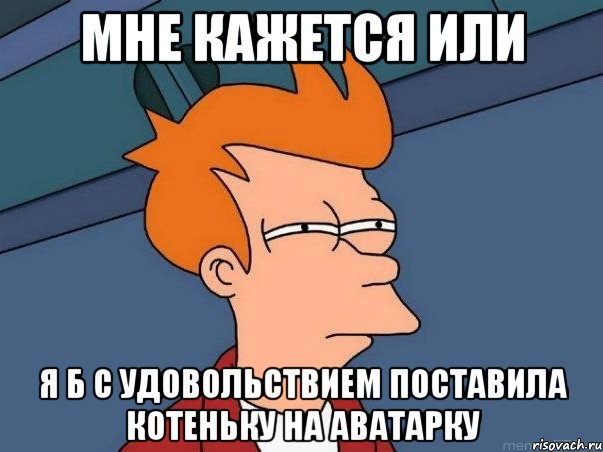 мне кажется или я б с удовольствием поставила котеньку на аватарку, Мем  Фрай (мне кажется или)