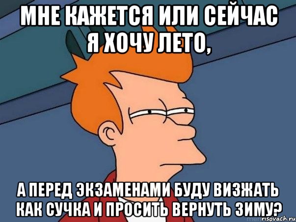 мне кажется или сейчас я хочу лето, а перед экзаменами буду визжать как сучка и просить вернуть зиму?, Мем  Фрай (мне кажется или)