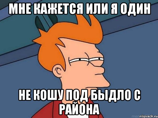 мне кажется или я один не кошу под быдло с района, Мем  Фрай (мне кажется или)