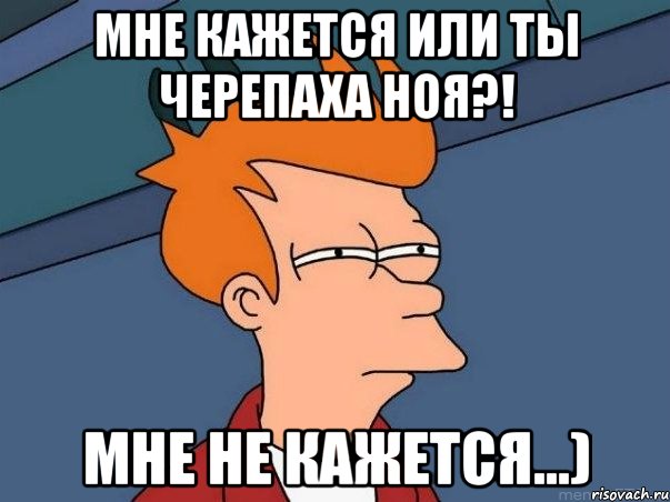 мне кажется или ты черепаха ноя?! мне не кажется...), Мем  Фрай (мне кажется или)