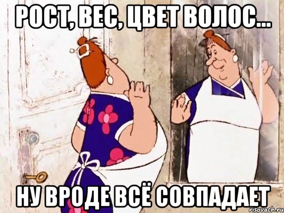 рост, вес, цвет волос... ну вроде всё совпадает