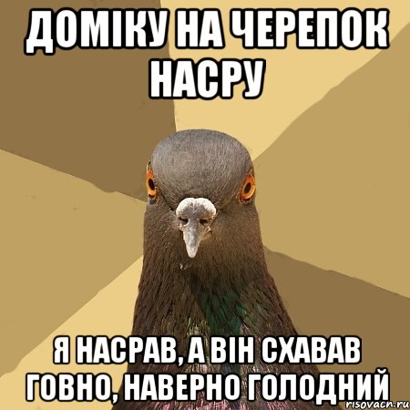 доміку на черепок насру я насрав, а він схавав говно, наверно голодний, Мем голубь