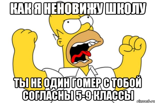 как я неновижу школу ты не один гомер с тобой согласны 5-9 классы, Мем Разъяренный Гомер