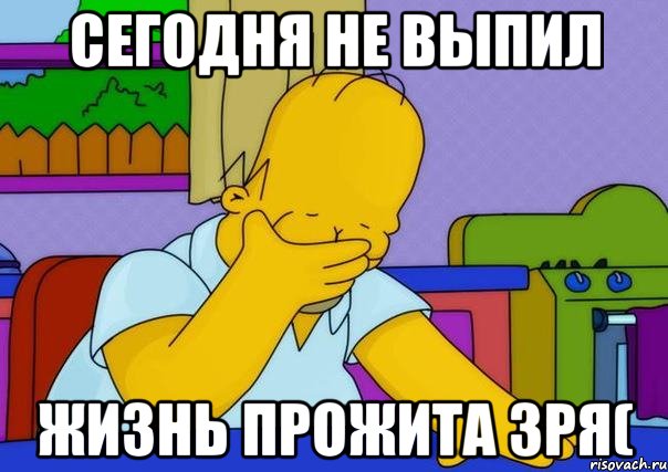 сегодня не выпил жизнь прожита зря(, Мем Homer simpson facepalm