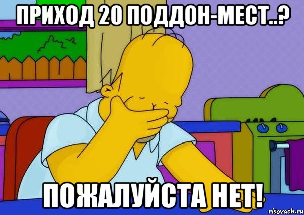 приход 20 поддон-мест..? пожалуйста нет!, Мем Homer simpson facepalm