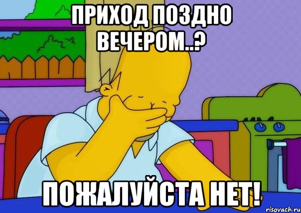 приход поздно вечером..? пожалуйста нет!, Мем Homer simpson facepalm