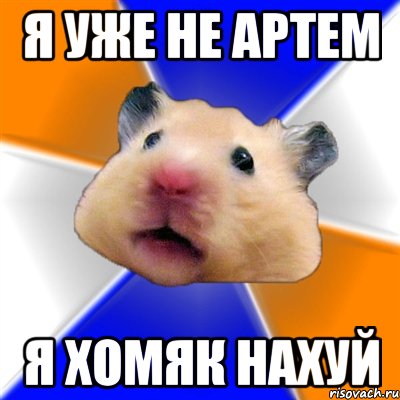 я уже не артем я хомяк нахуй, Мем Хомяк