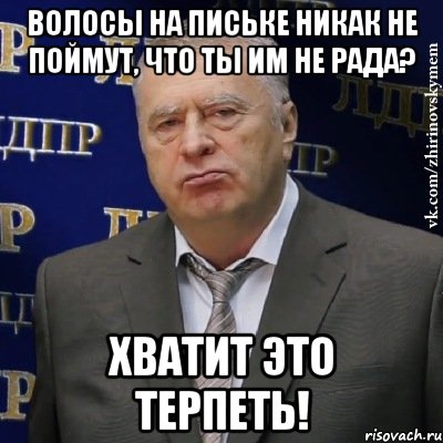 волосы на письке никак не поймут, что ты им не рада? хватит это терпеть!, Мем Хватит это терпеть (Жириновский)