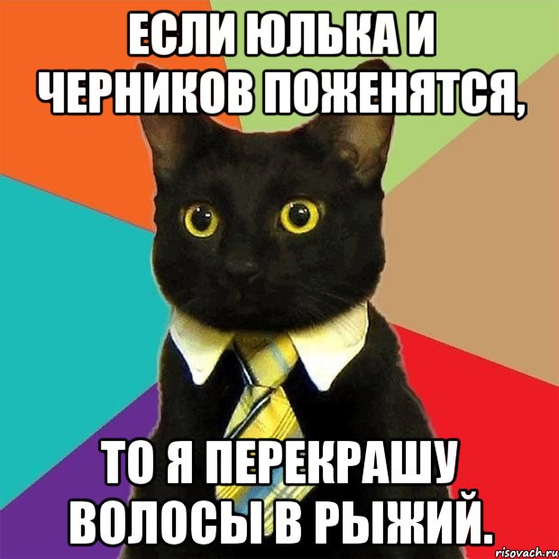 если юлька и черников поженятся, то я перекрашу волосы в рыжий., Мем  Кошечка