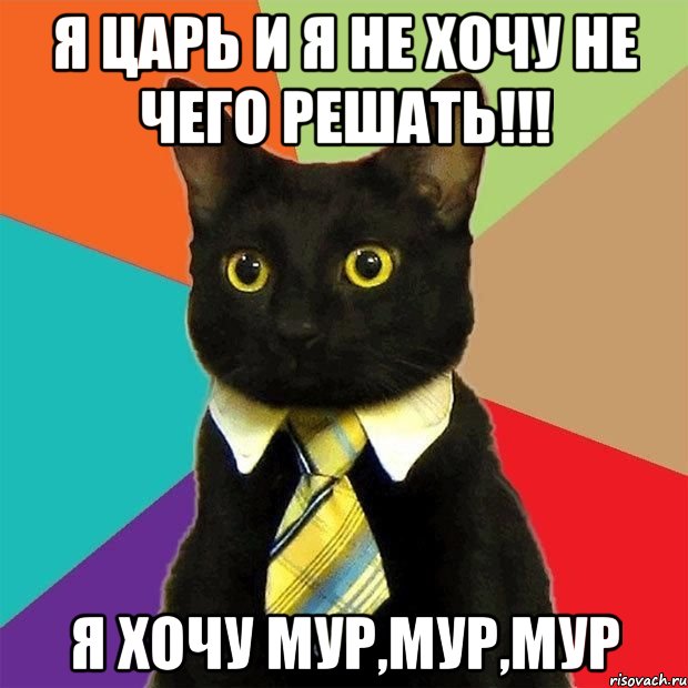 я царь и я не хочу не чего решать!!! я хочу мур,мур,мур, Мем  Кошечка