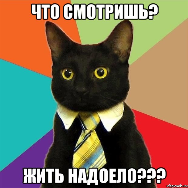 что смотришь? жить надоело???, Мем  Кошечка