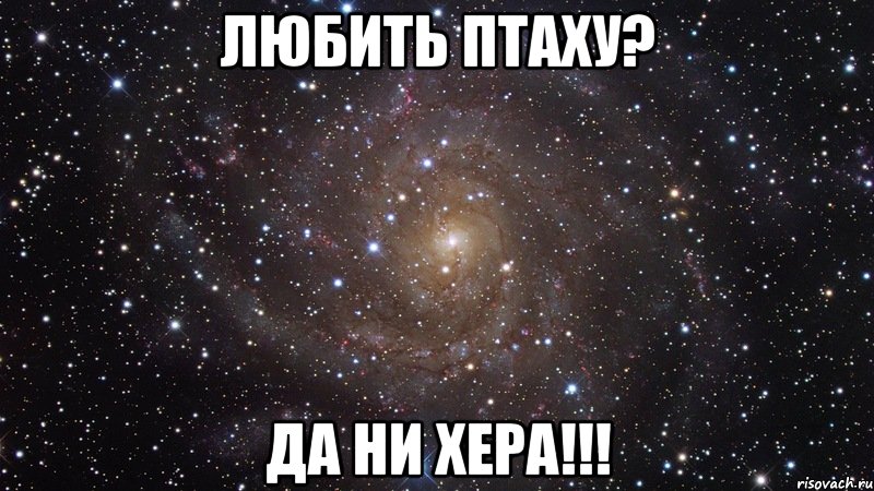 любить птаху? да ни хера!!!, Мем  Космос (офигенно)