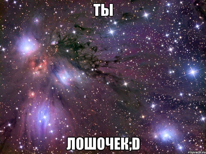 ты лошочек;d, Мем Космос