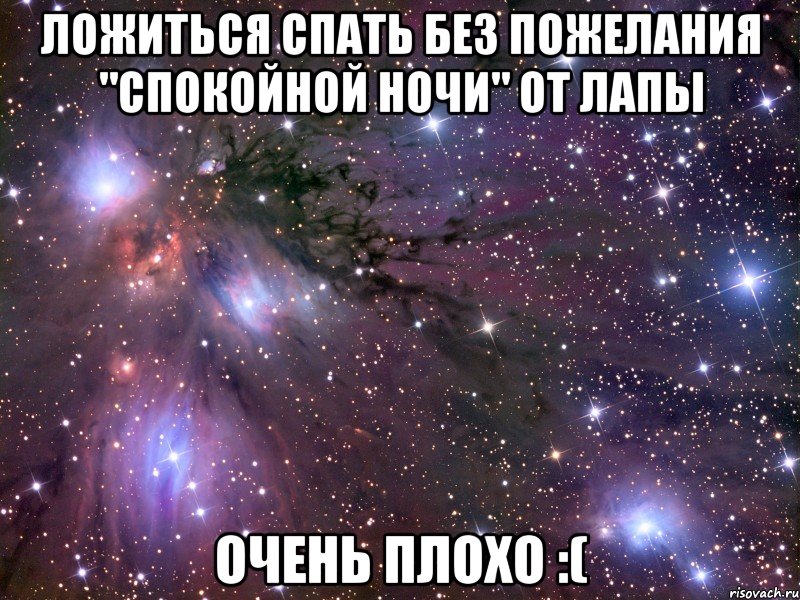 ложиться спать без пожелания "спокойной ночи" от лапы очень плохо :(, Мем Космос