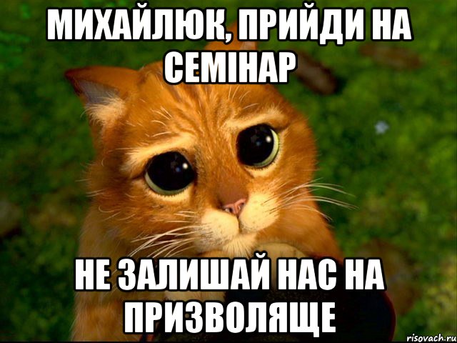 михайлюк, прийди на семінар не залишай нас на призволяще, Мем кот из шрека