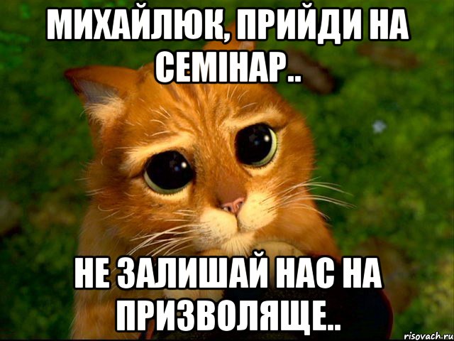 михайлюк, прийди на семінар.. не залишай нас на призволяще.., Мем кот из шрека