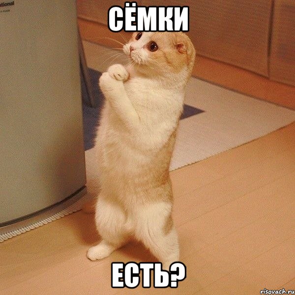 сёмки есть?