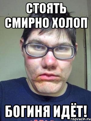 стоять смирно холоп богиня идёт!, Мем красавчик