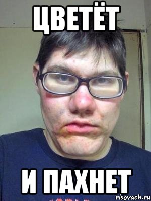 цветёт и пахнет