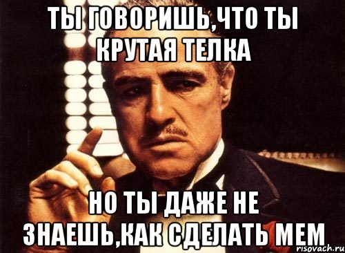 ты говоришь,что ты крутая телка но ты даже не знаешь,как сделать мем, Мем крестный отец