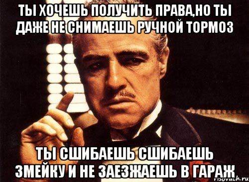 ты хочешь получить права,но ты даже не снимаешь ручной тормоз ты сшибаешь сшибаешь змейку и не заезжаешь в гараж, Мем крестный отец