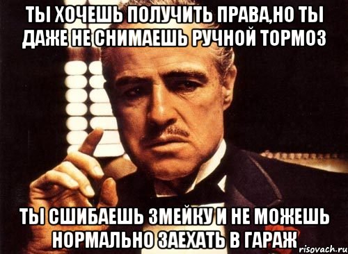 ты хочешь получить права,но ты даже не снимаешь ручной тормоз ты сшибаешь змейку и не можешь нормально заехать в гараж, Мем крестный отец