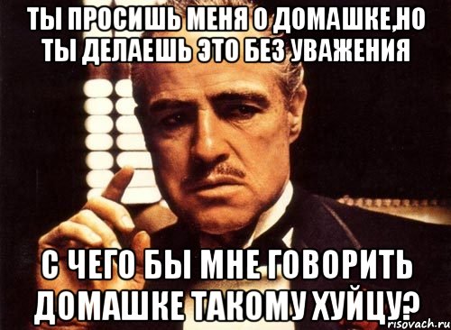 ты просишь меня о домашке,но ты делаешь это без уважения с чего бы мне говорить домашке такому хуйцу?, Мем крестный отец