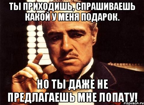 ты приходишь, спрашиваешь какой у меня подарок. но ты даже не предлагаешь мне лопату!, Мем крестный отец